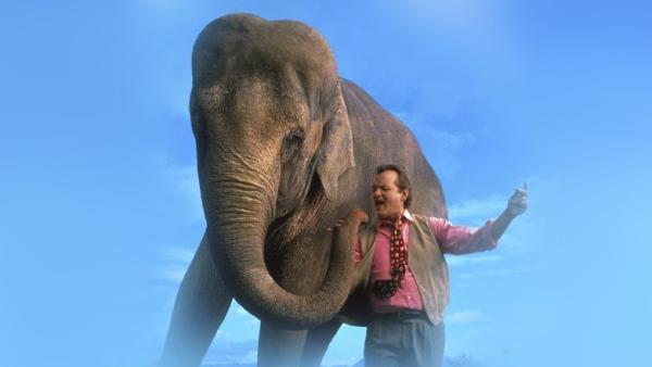 Un éléphant sur les bras – Bande Annonce VF