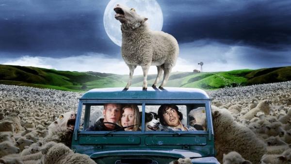 Bande annonce 'Black Sheep'