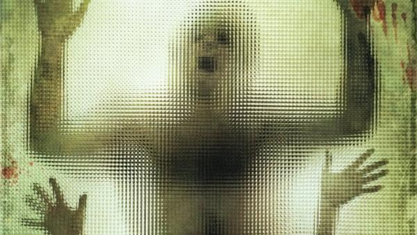 THE HUMAN CENTIPEDE- Teaser officiel France