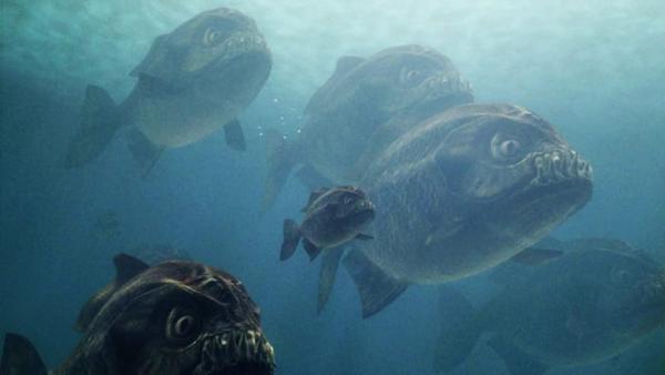 Mega Piranha - Original Trailer by Film&Clips