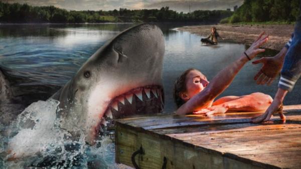 Summer Shark Attack - Trailer Deutsch HD - Ab 28.04.2017 im Handel!