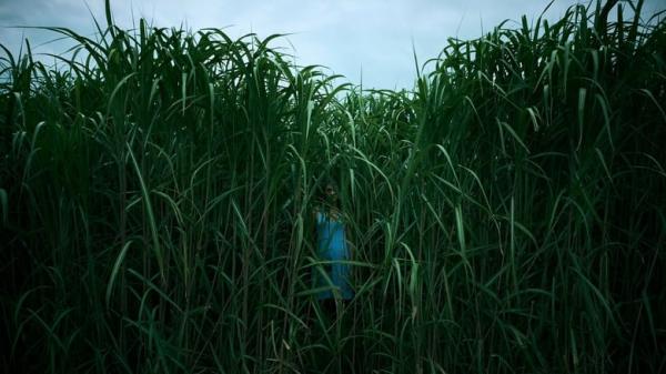 Bande Annonce VF