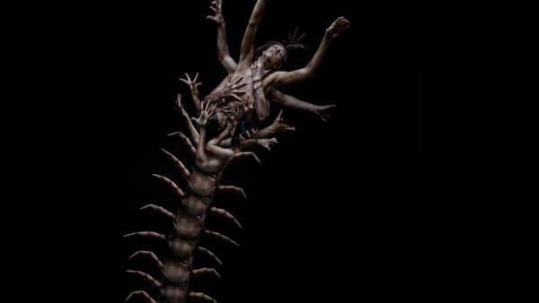 THE HUMAN CENTIPEDE 2 - bande annonce VF
