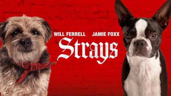 Strays | officiële trailer/bande-annonce officielle