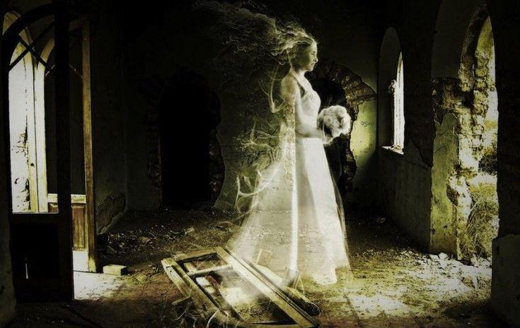 Le Dossier de la Mariée de Trécesson