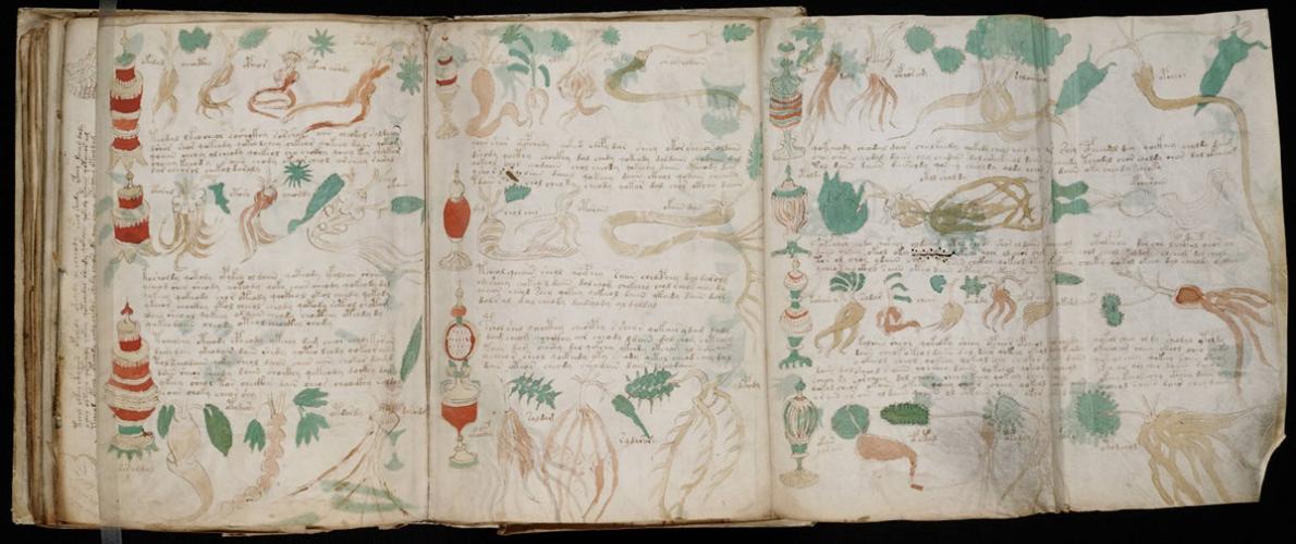 Le Dossier du Manuscrit de Voynich