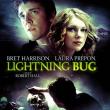 Lightning Bug