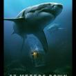 47 Meters Down