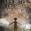 Les Bêtes du sud sauvage