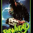 Rawhead Rex : le Monstre de la Lande