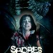 Spores