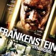 The Frankenstein Experiment