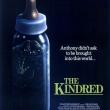  The Kindred