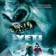 Yeti