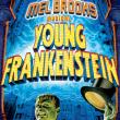 Young Frankenstein : The New Mel Brooks Musical