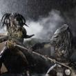 Aliens vs. Predator : Requiem