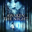 Awaken The Night