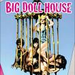 Big Doll House