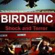 Birdemic: Shock and Terror