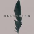 Black Bird