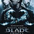 Blade: Trinity