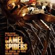 Camel Spiders