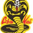 Cobra Kai