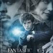 Fantastic Beasts 3