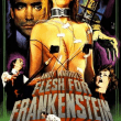 Flesh for Frankenstein