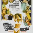The Ghost in the Invisible Bikini