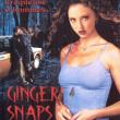 Ginger Snaps