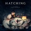 Hatching