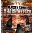 Jersey Shore Shark Attack