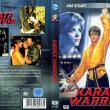 Karate Warrior