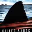 Killer Shark