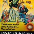 King Kung Fu