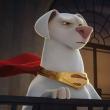 Krypto et les Super-Animaux