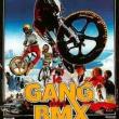 Le Gang des BMX