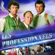 Les Professionnels