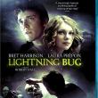 Lightning Bug