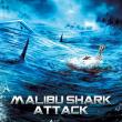 Malibu Shark Attack