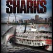 Mississippi River Sharks