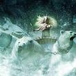 Le Monde de Narnia : Le Lion La Sorcière Blanche et l'Armoire Magique