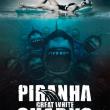 Piranha Sharks