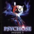 Psychose phase 3