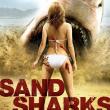 Beach shark - Sand Sharks : Les Dents de la Plage