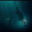 The Shape of Water