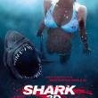 Shark 3D