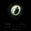 Splice