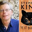 Stephen King / If It Bleeds